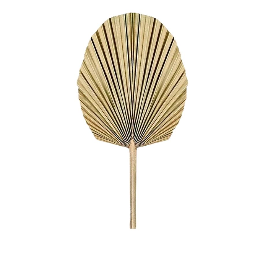 The grace of palm leaves