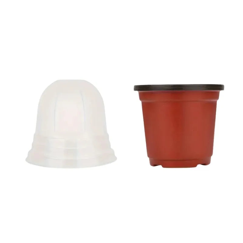 Pots de Germination avec Cloche de Protection
