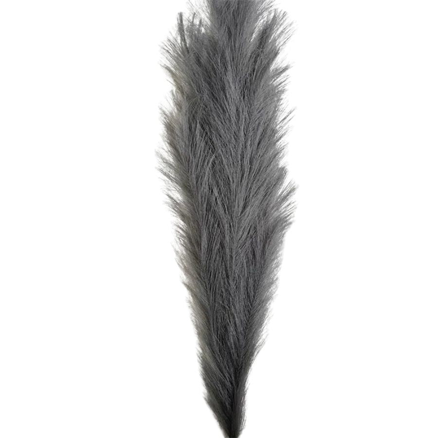 The elegance of pampas velvet