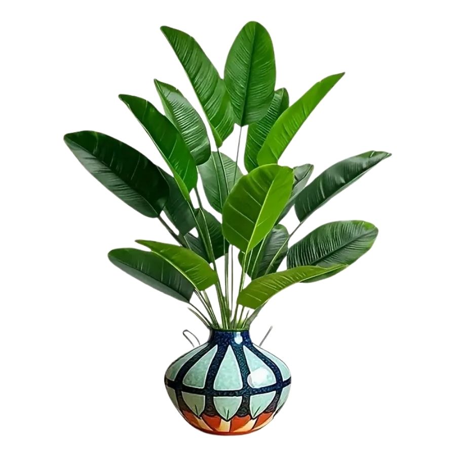 The elegance of TropicBanana