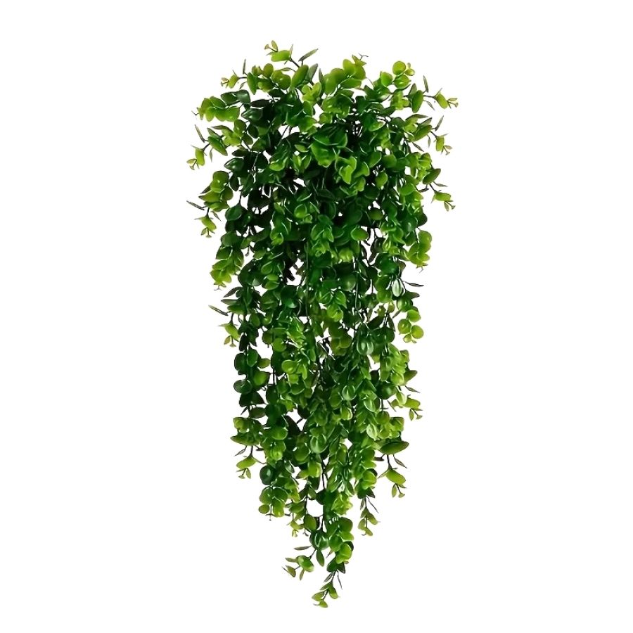 Hanging green elegance