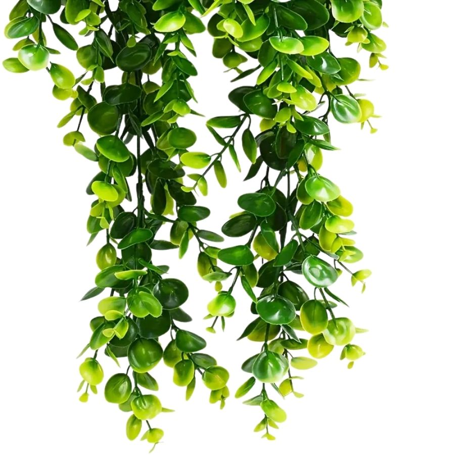 Hanging green elegance