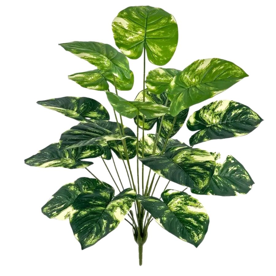 Harmonie des feuilles tropicales