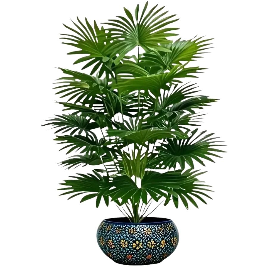 Eternal Tropical Palm