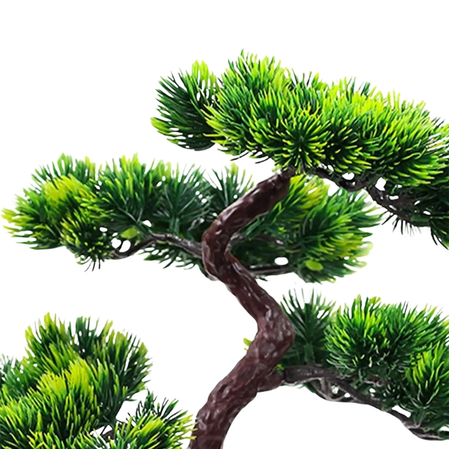 Eternal Zen Bonsai™