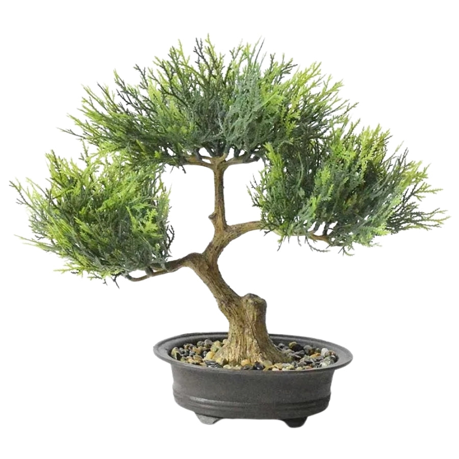 Eternal Bonsai