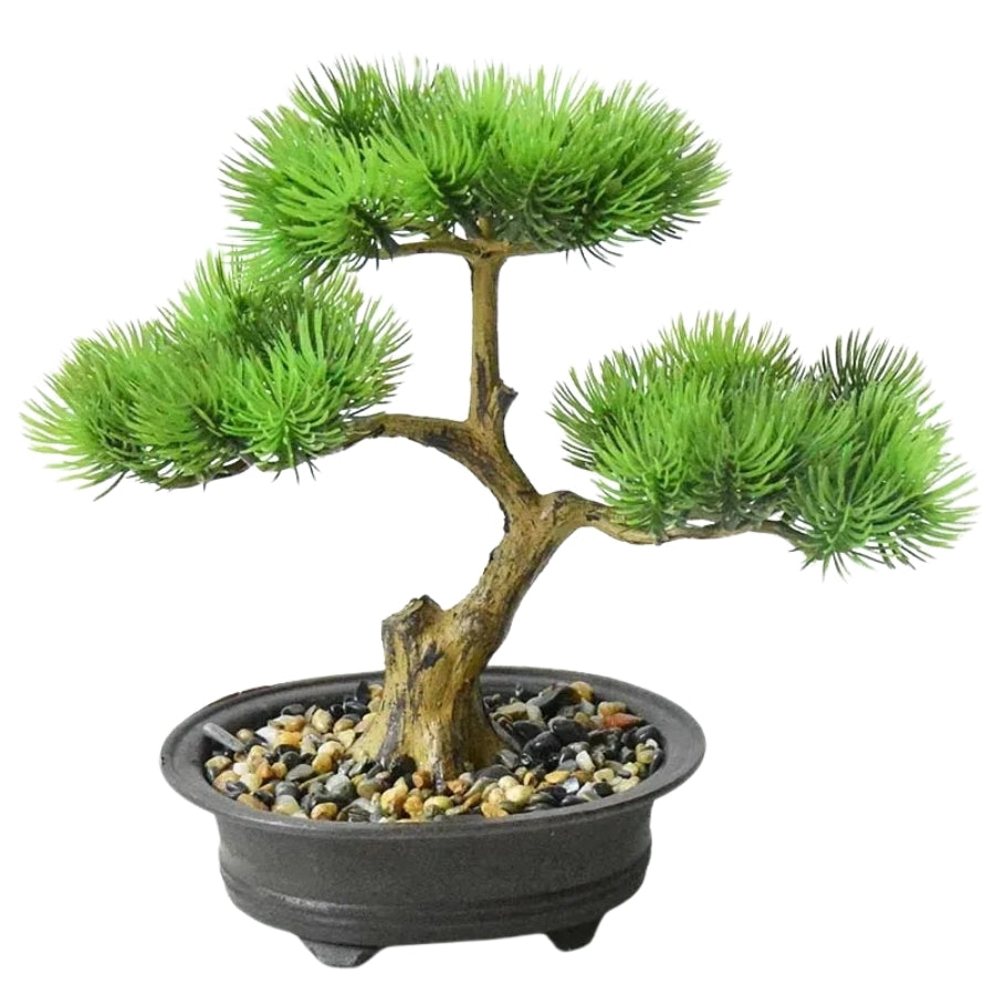 Bonsai Serenity