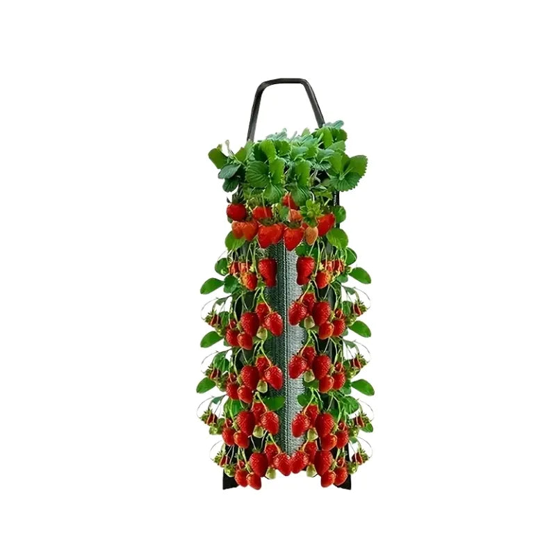 StrawberryGrow Hanging Planting Bag