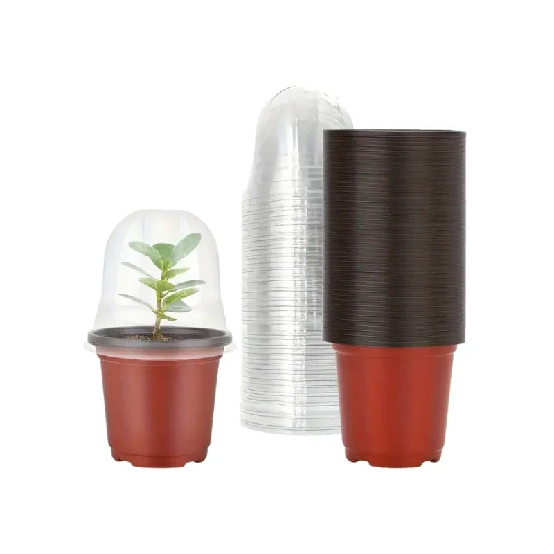 Pots de Germination avec Cloche de Protection