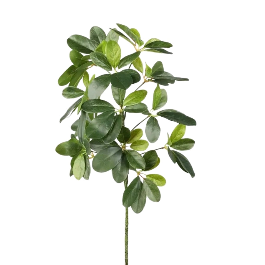 Natural Simplicity - A touch of timeless greenery