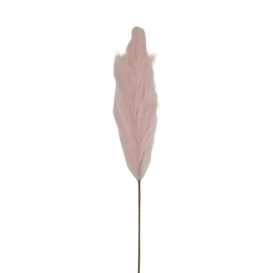 Pastel Softness - Powder Pink Pampas