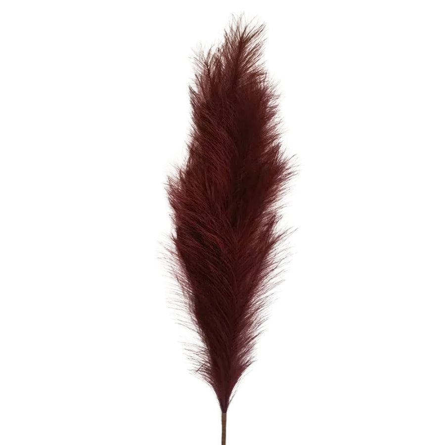 Profound Elegance - Bordeaux Red Pampas