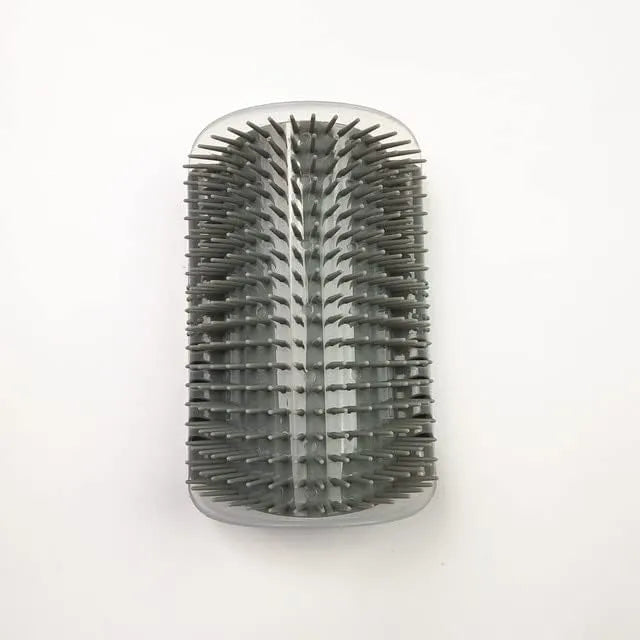 Brosse de massage
