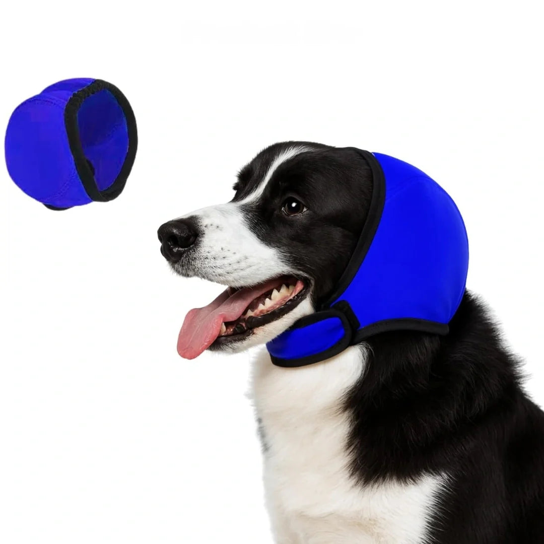 Cache-oreilles pour chien