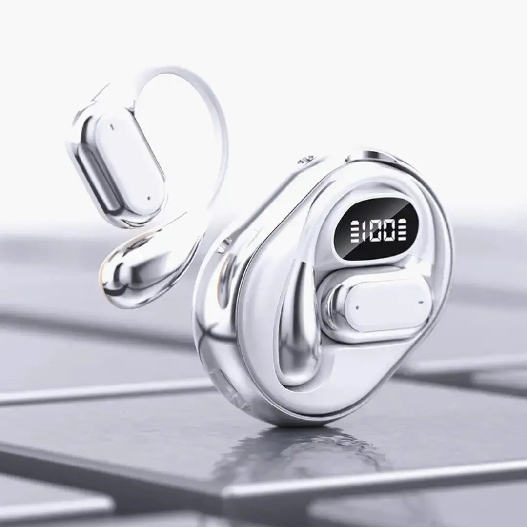 Translator earphones