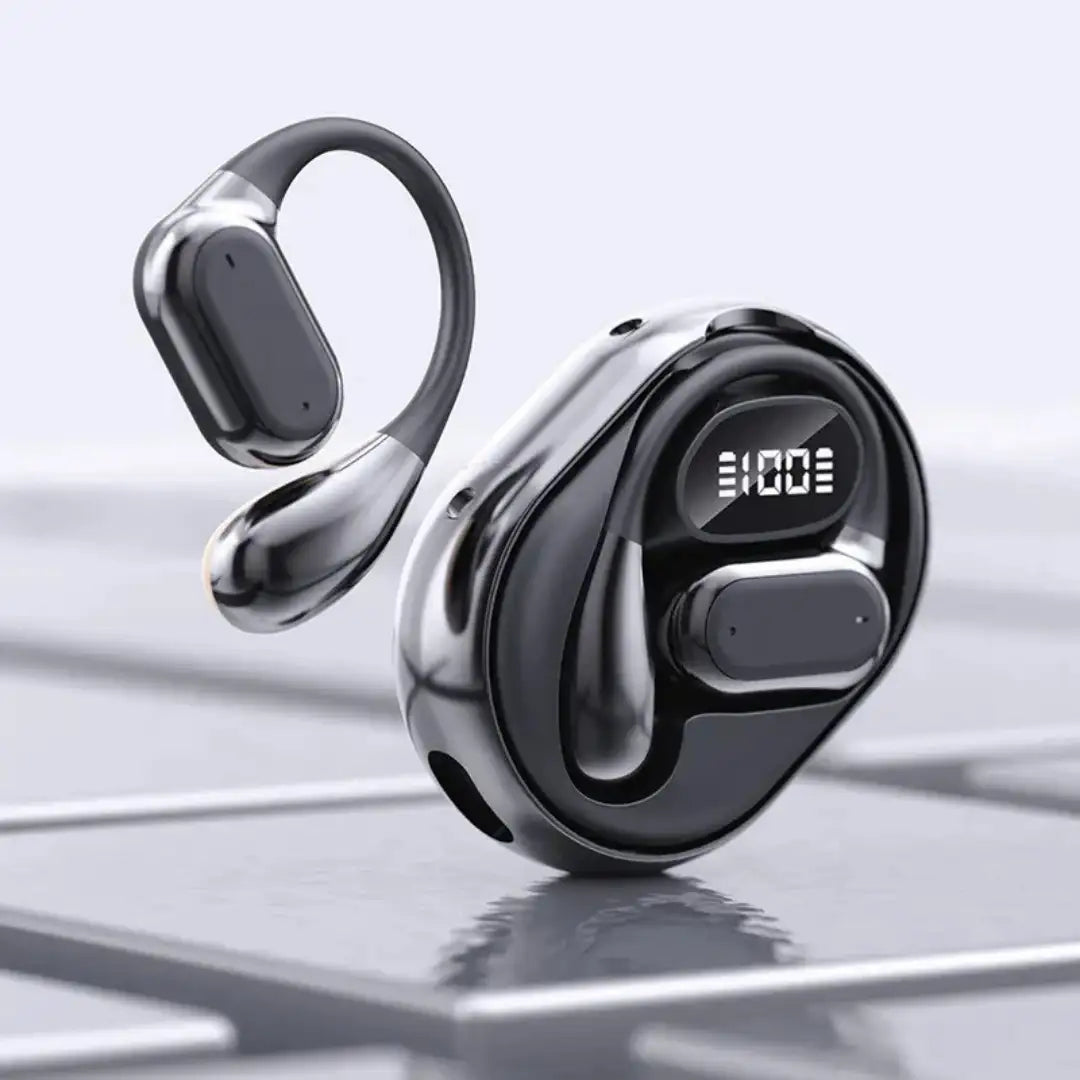 Translator earphones