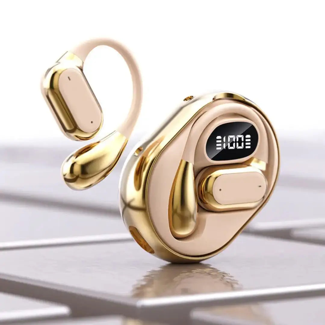 Translator earphones