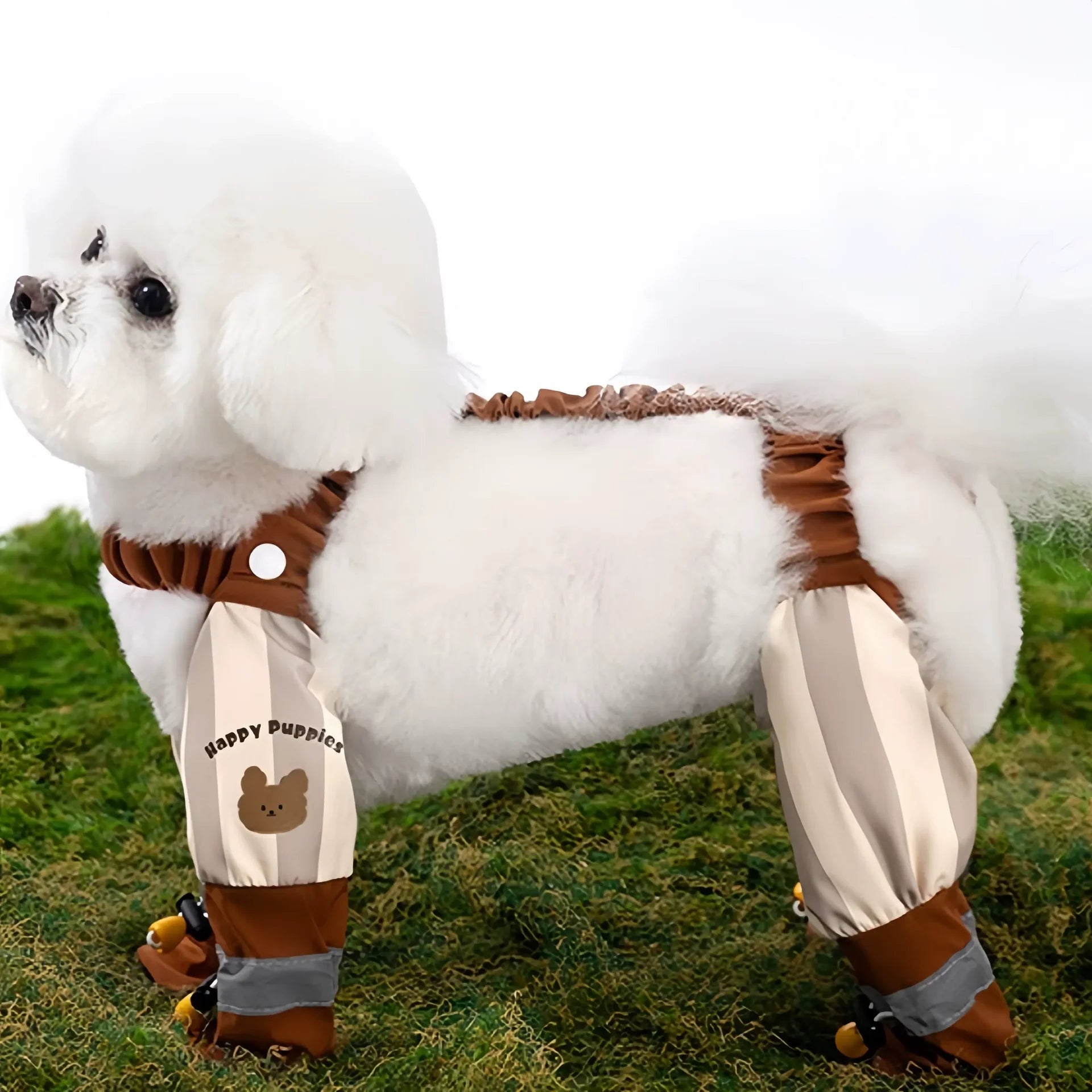 Dog outfit
