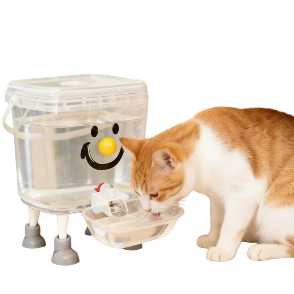 Distributeur d'eau