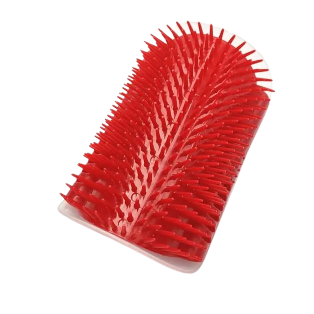 Brosse de massage