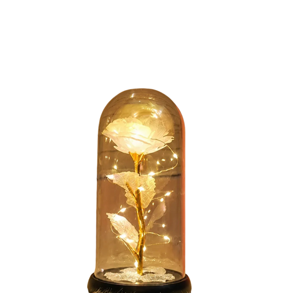 Rose éternelle LED