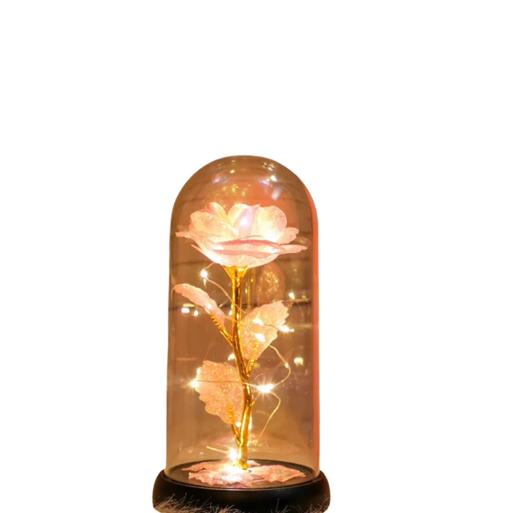 Rose éternelle LED