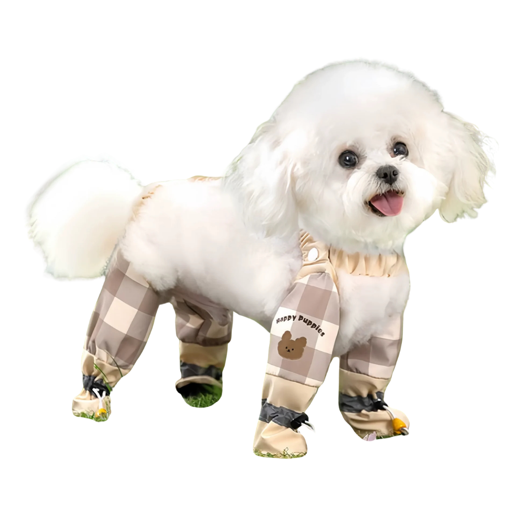 Ensemble pour chien
