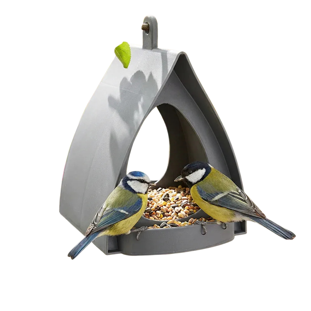 Mangeoire oiseaux