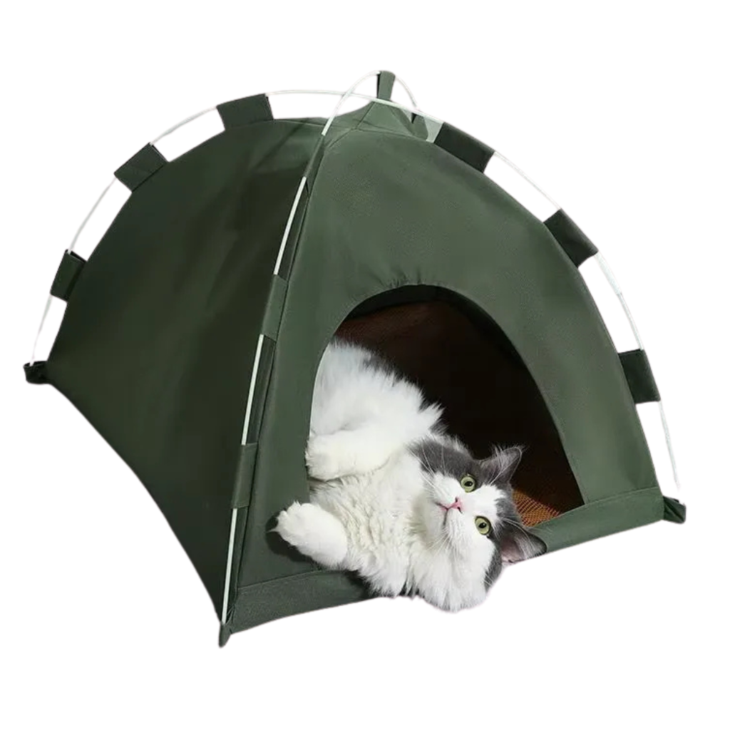 Cat tent