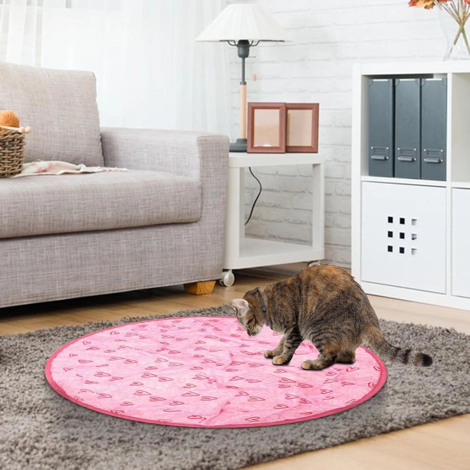Jeu pour chat
