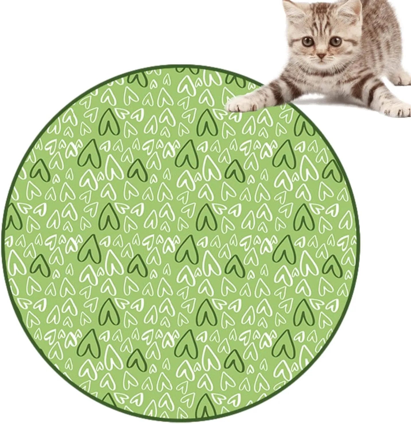 Jeu pour chat