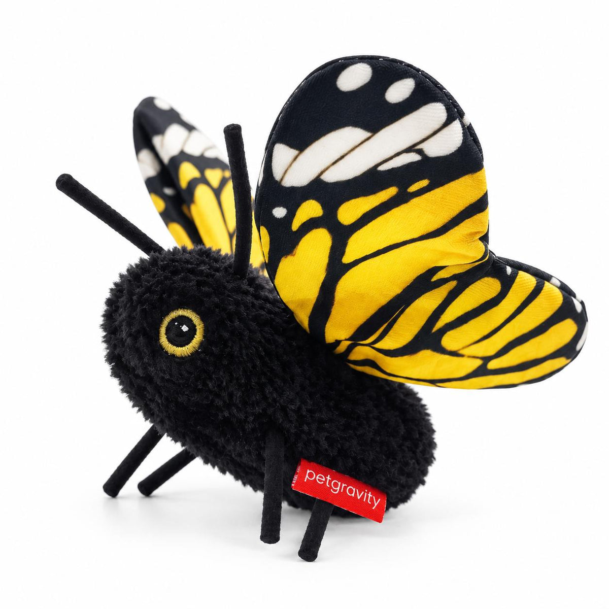 Butterfly for Cats