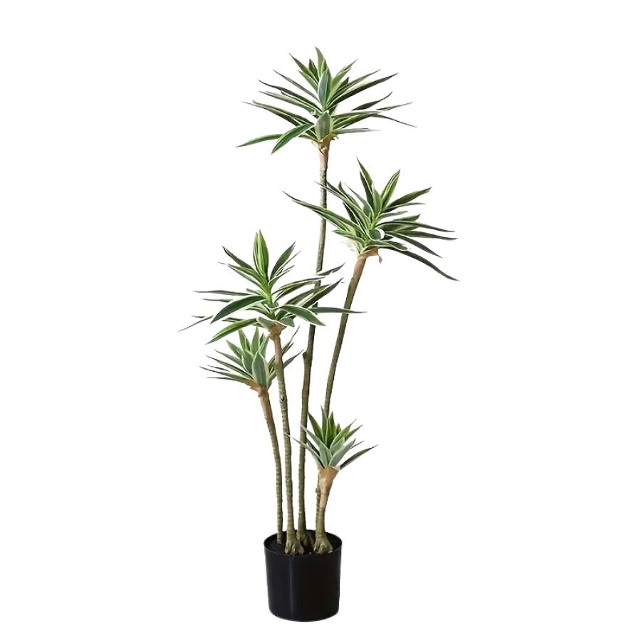 The elegance of the bamboo lily