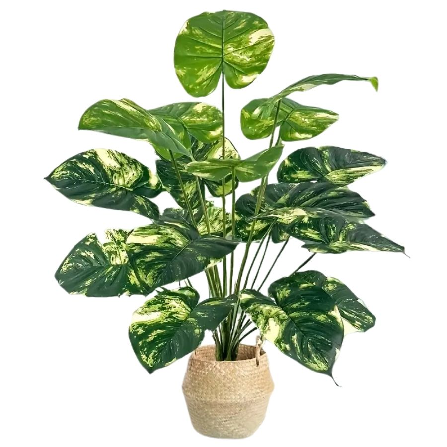 Harmonie des feuilles tropicales