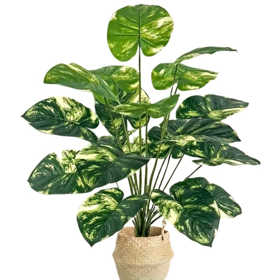 Harmonie des feuilles tropicales