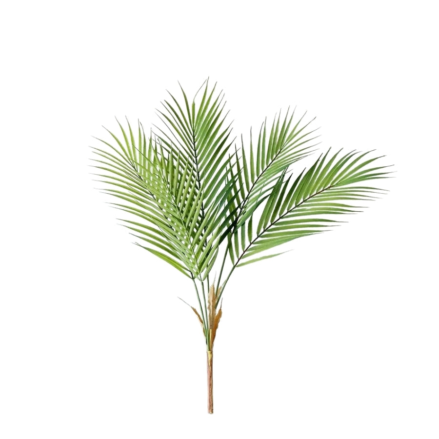 Palmier Élégance Tropique