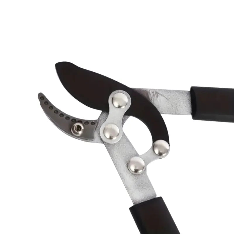 Cisailles Télescopiques ProCut