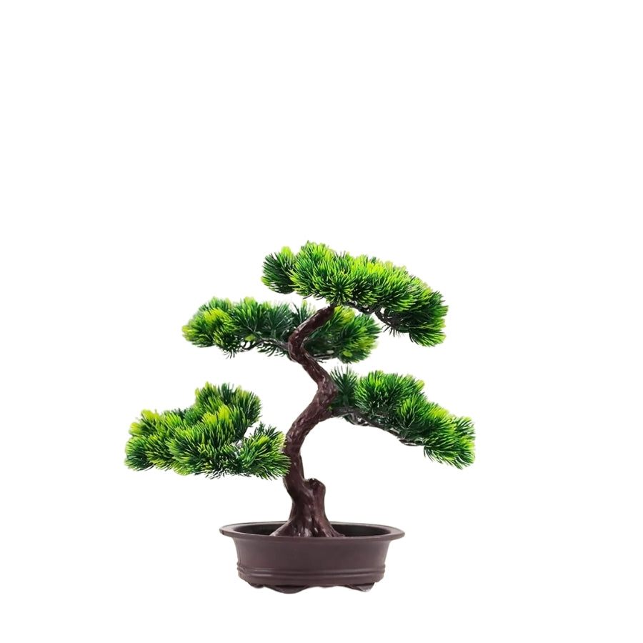 Bonsaï Zen Éternel