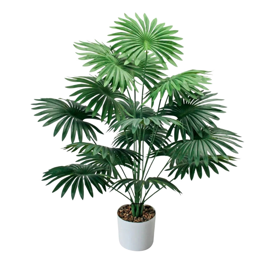 Palmier Tropical Deluxe