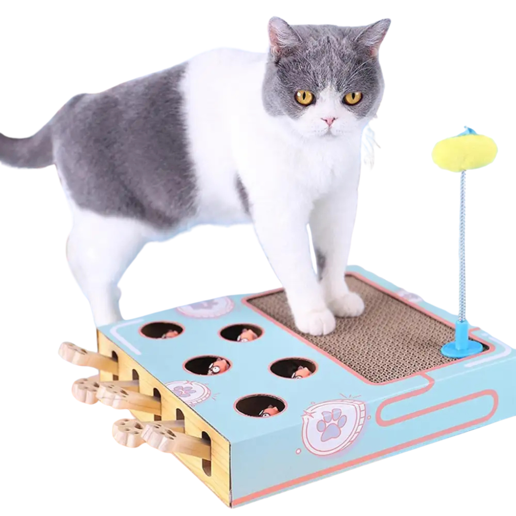Jeu interactif chat