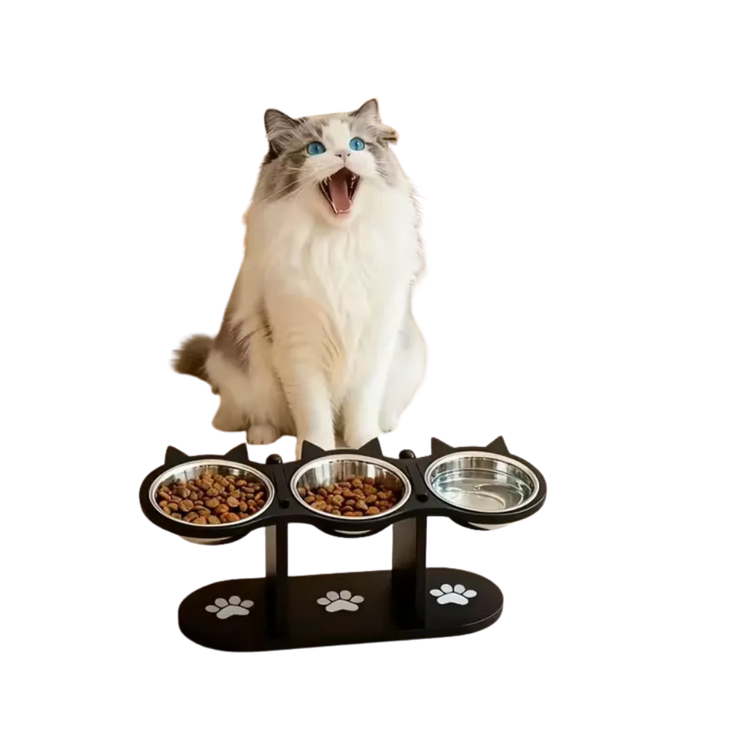 Gamelle pour chat