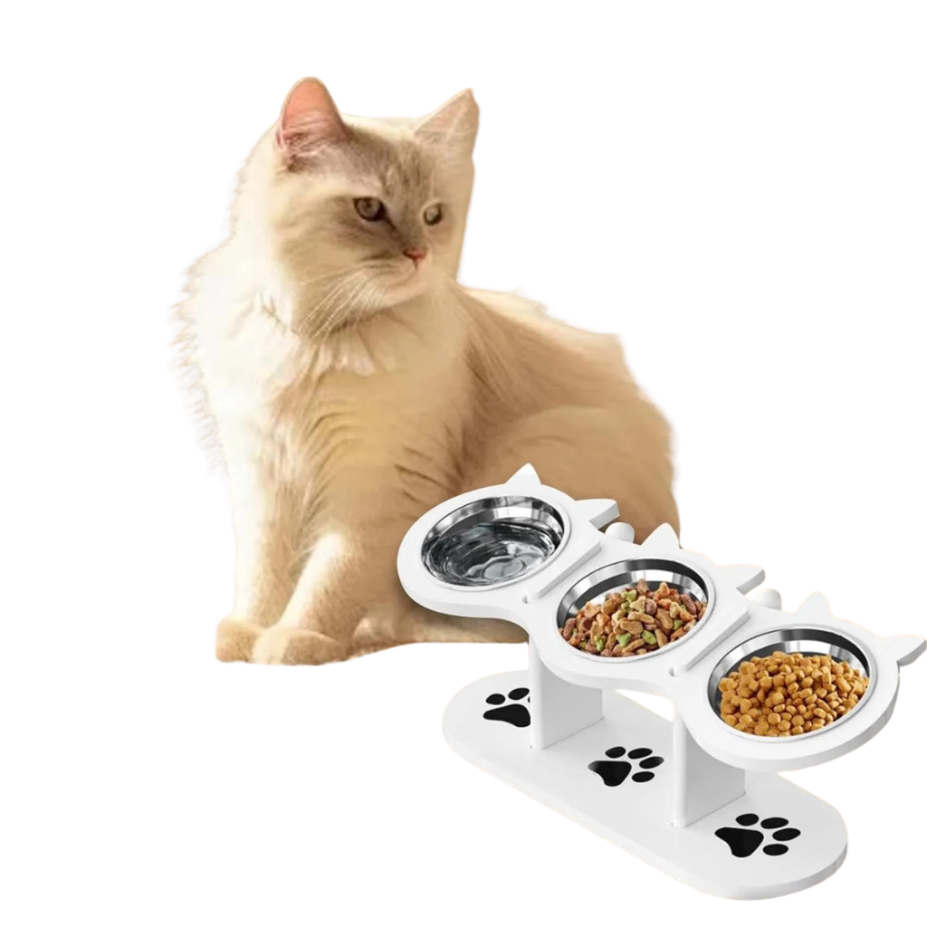 Gamelle pour chat