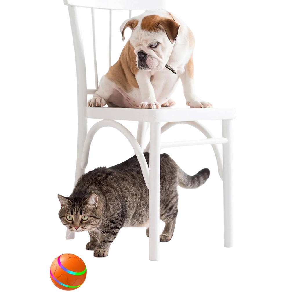 Ball for animals