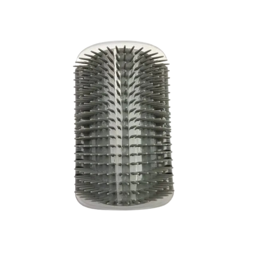 Brosse de massage