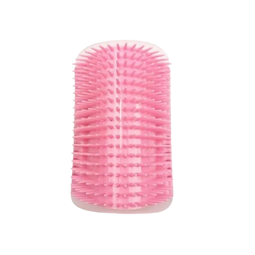 Brosse de massage