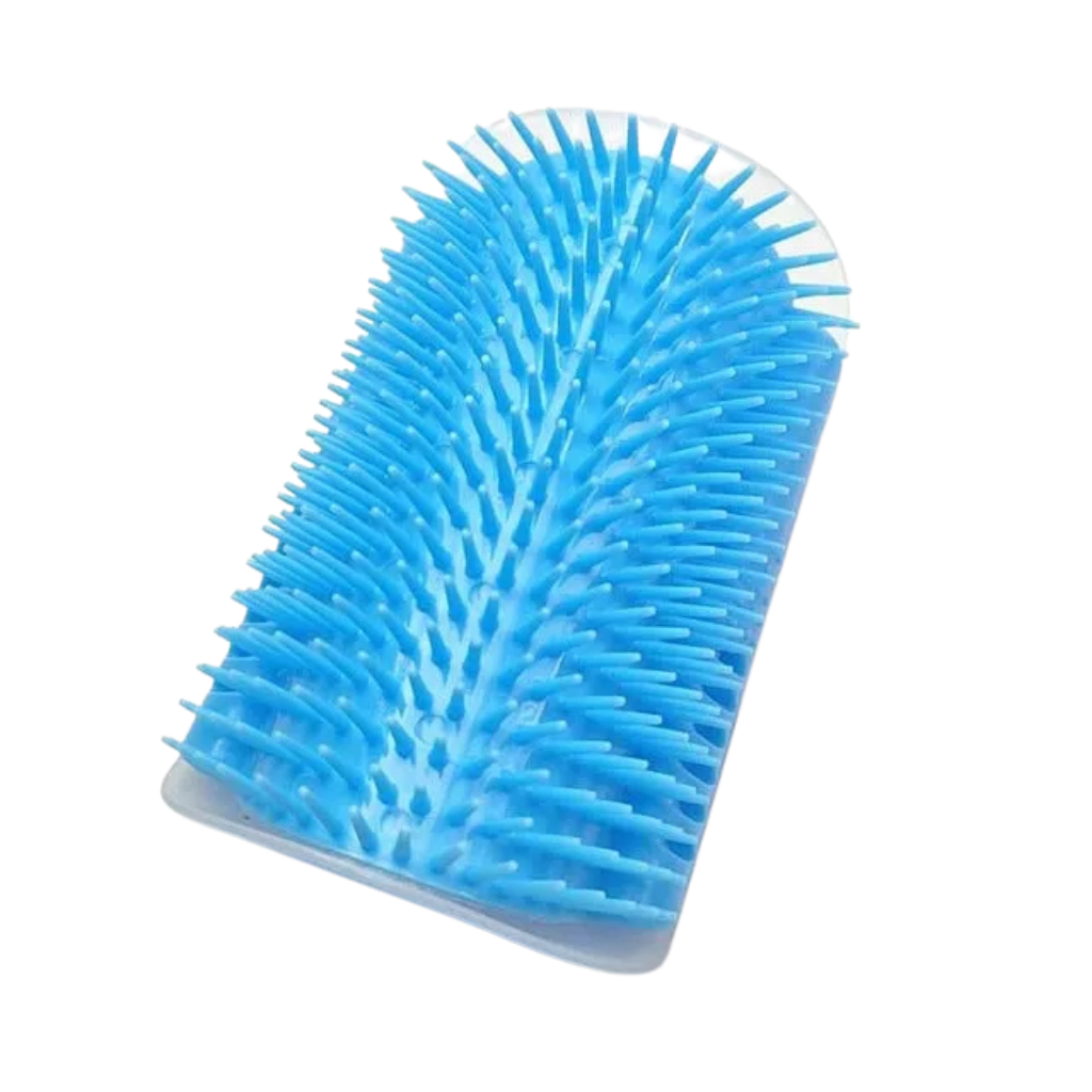Brosse de massage