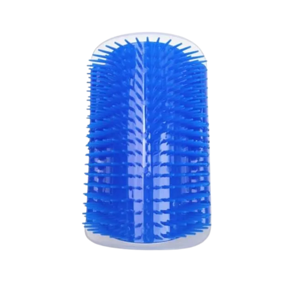 Brosse de massage