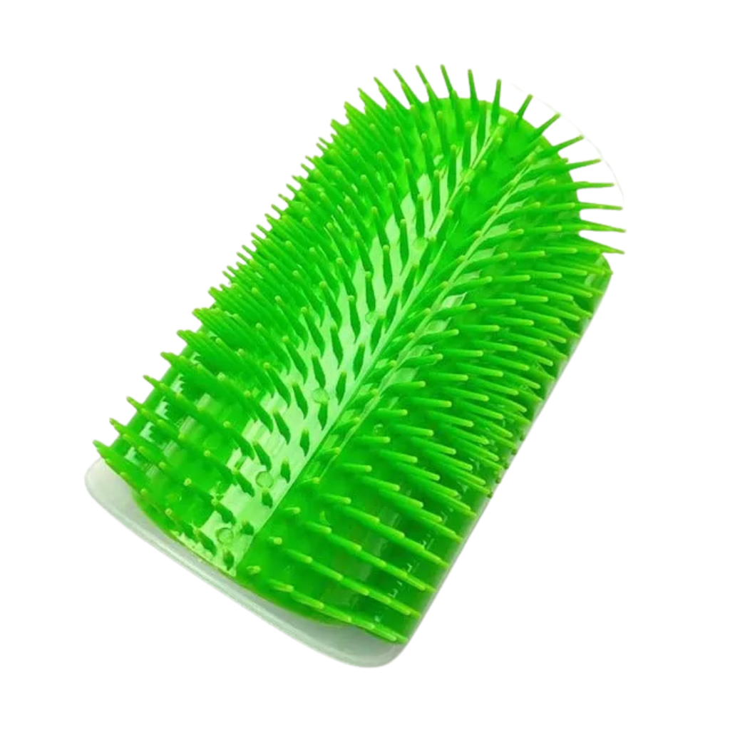 Brosse de massage