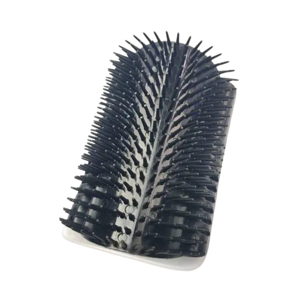 Brosse de massage