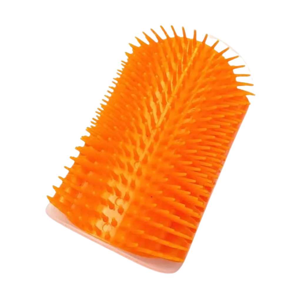 Brosse de massage